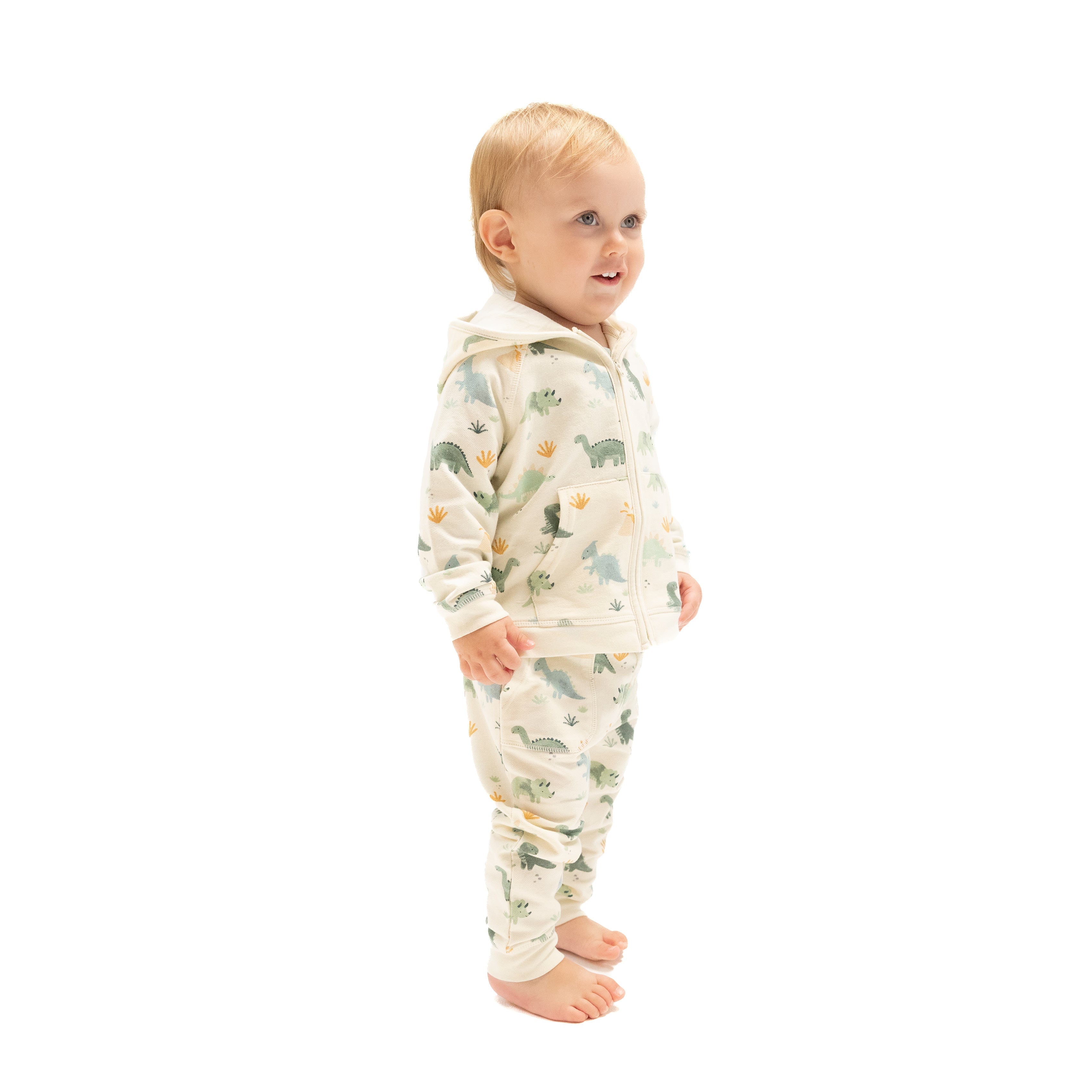 Soft Dinos - Green - Zip Hoodie and Jogger Set