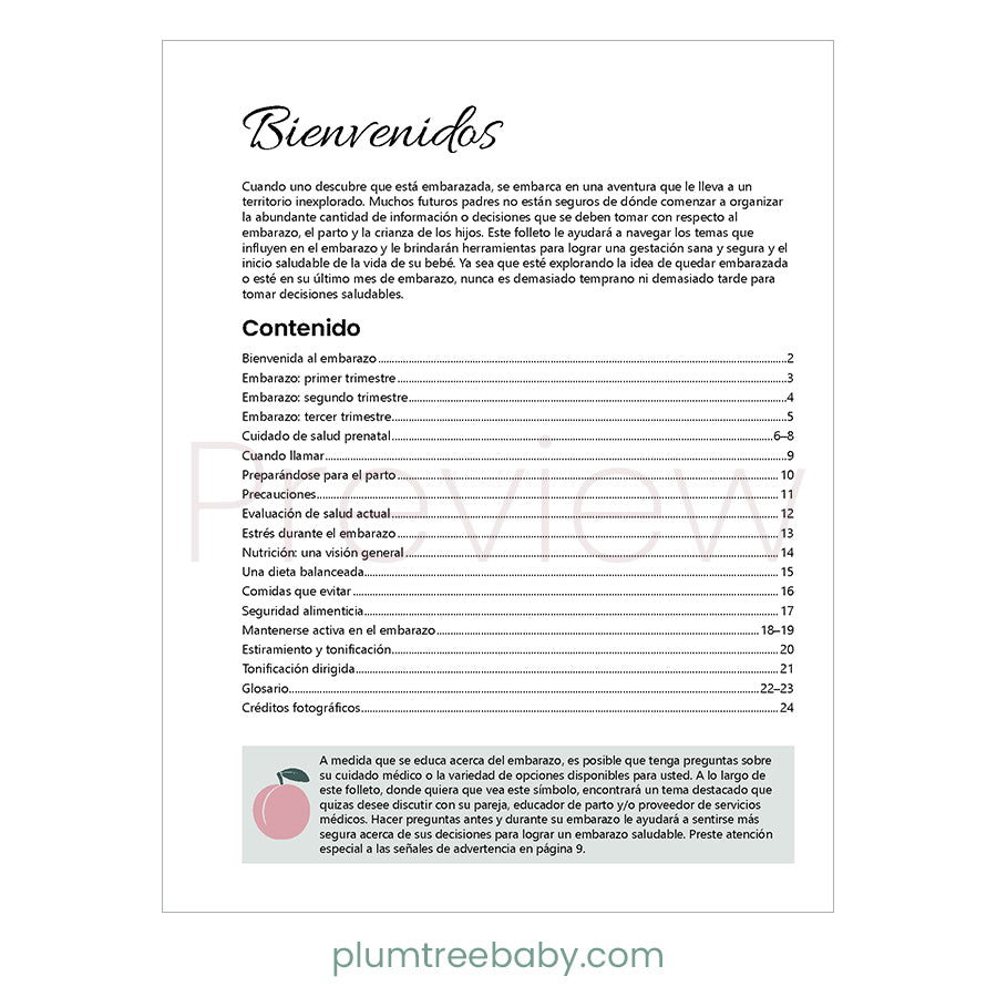 Healthy Pregnancy Booklet