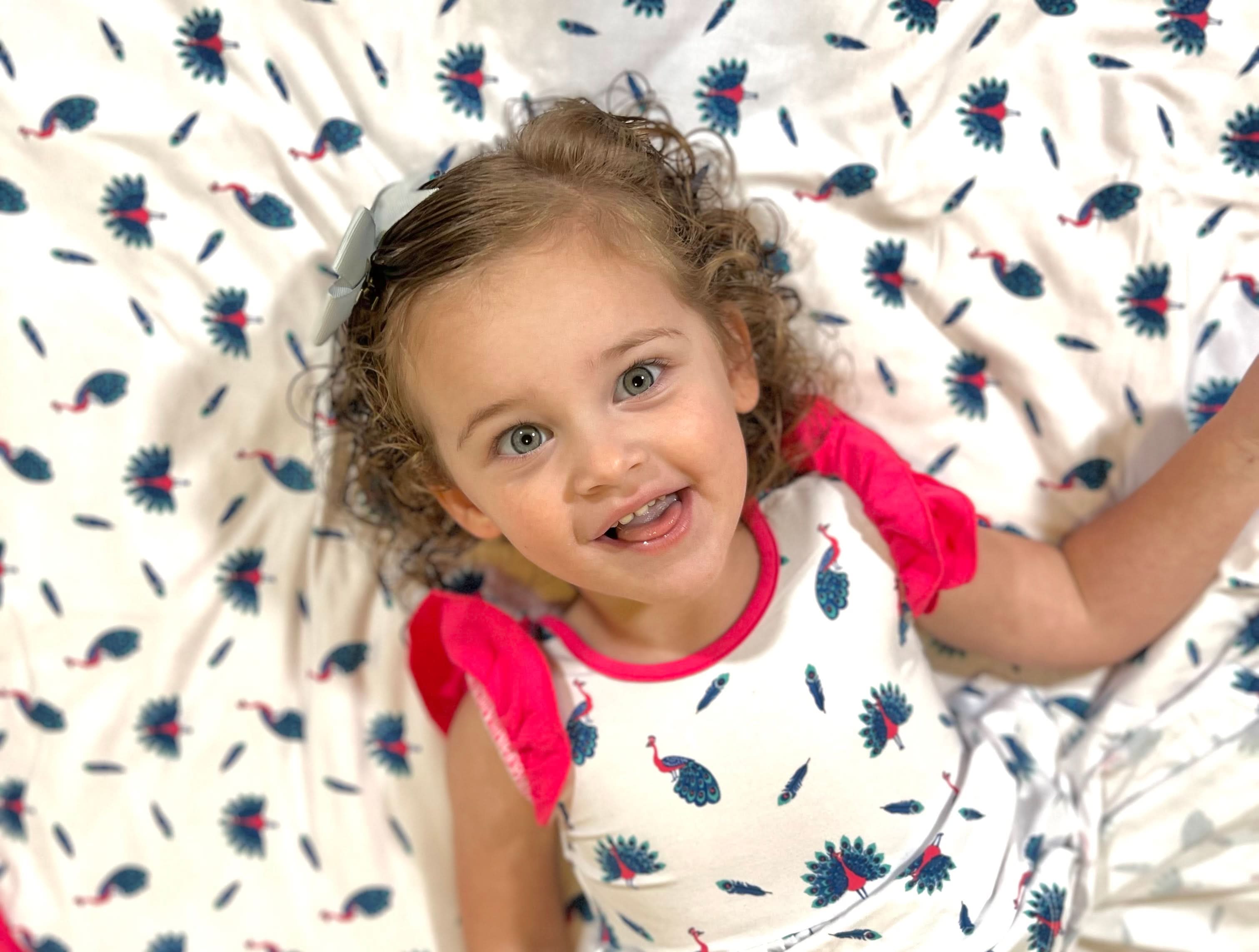 Peacock | Toddler Flutter Dress