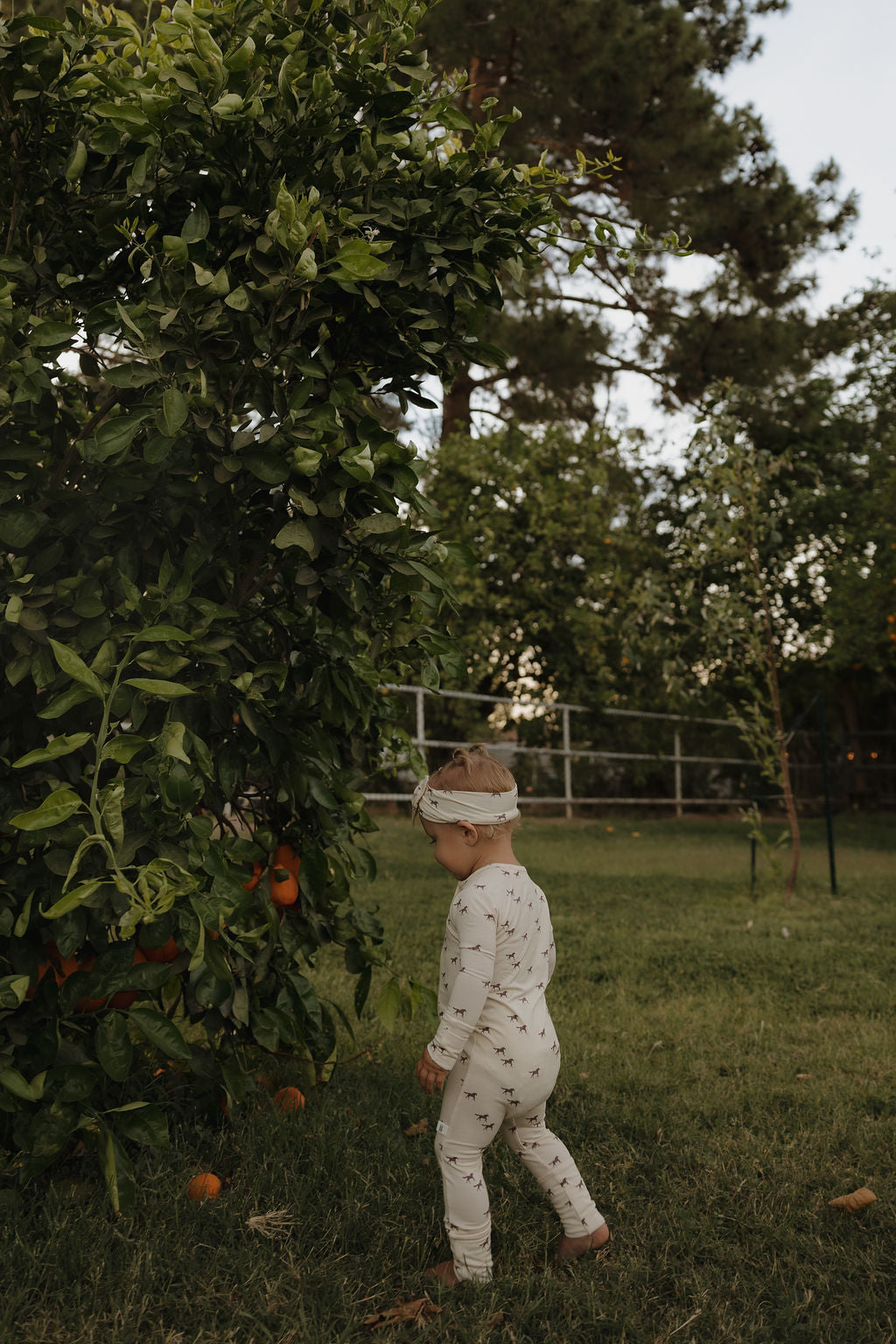Bamboo Zip Pajamas | Wild Horses