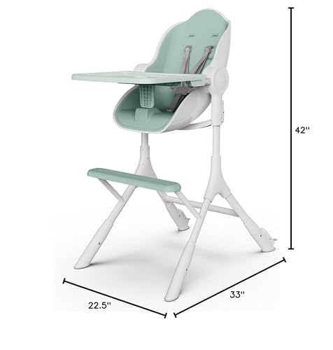 Convertible High Chair & Baby Lounger with Reclining Positions