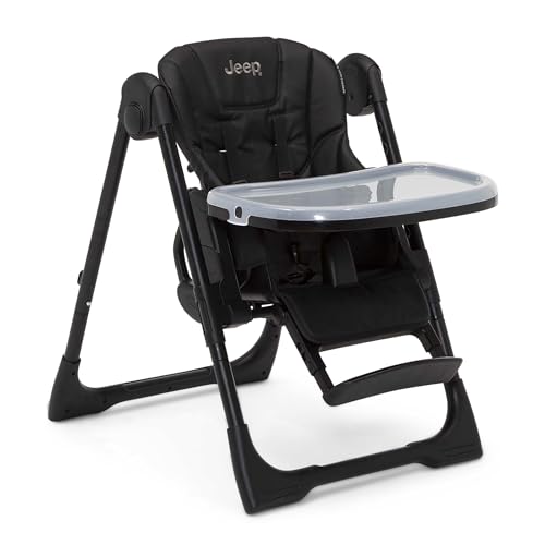 Convertible 2-in-1 High Chair with Adjustable Height and Recline