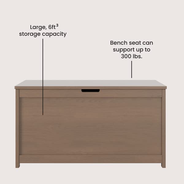 Wood Toy Storage Chest with Soft Close Safety Hinges