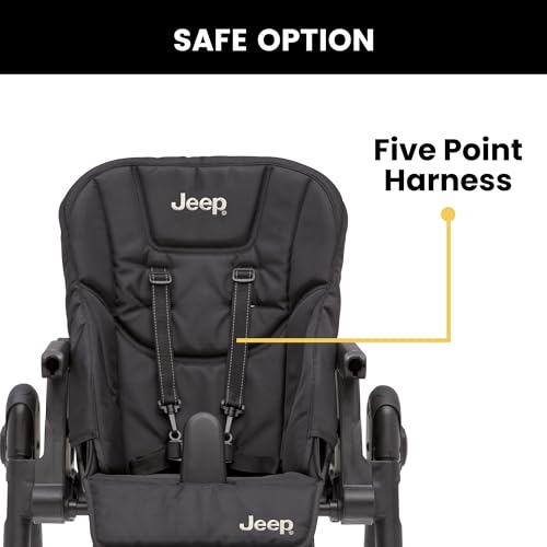 Convertible 2-in-1 High Chair with Adjustable Height and Recline