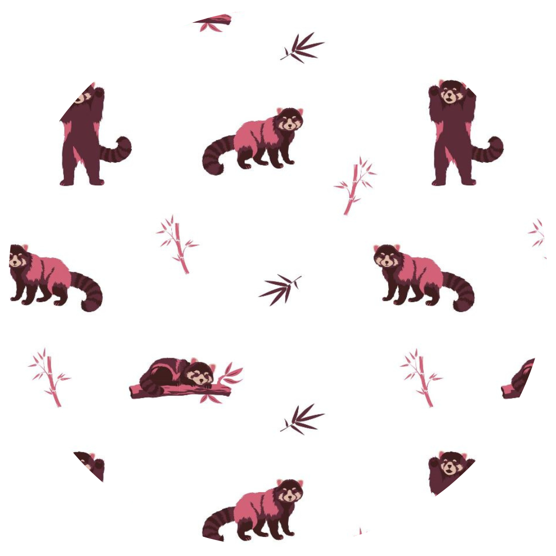 Red Panda | Long Sleeve Bodysuit
