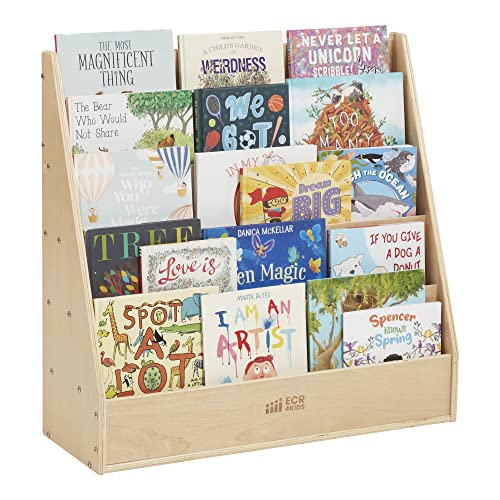 Single-Sided Book Display with Storage