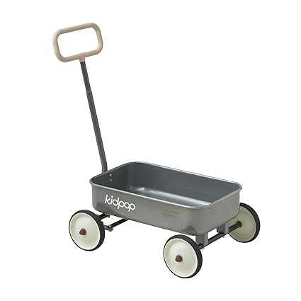 PULA-Wild 2-in-1 Kids' Pull-Along Wagon Toddlers Push Walker for 2.5-8 Adjustable