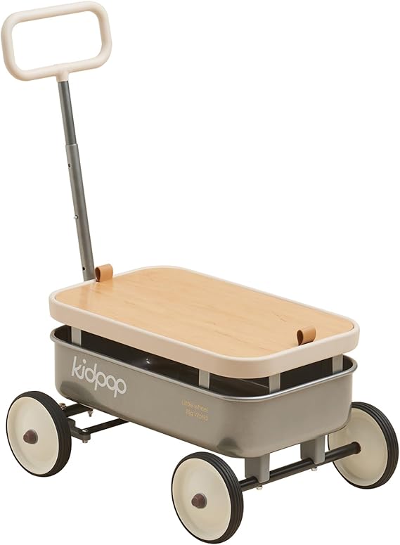 PULA-Wild 3-in-1 Kids' Pull-Along Wagon Toddlers Push Walker for 2.5-8