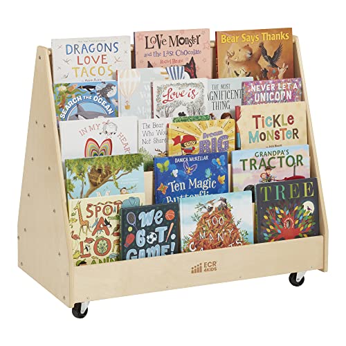 Double-Sided Mobile Book Display for Kids