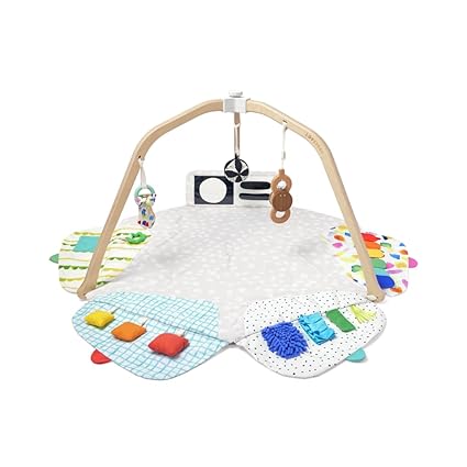 The Play Gym | Award Winning For Baby , Stage-Based Developmental Activity