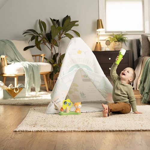 6-in-1 Baby Activity Center with Play Gym and Jumper