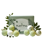 Organic Handmade Bath Bombs for Women, 12 Gift Sets, Large, Shea Butter Moisturizing
