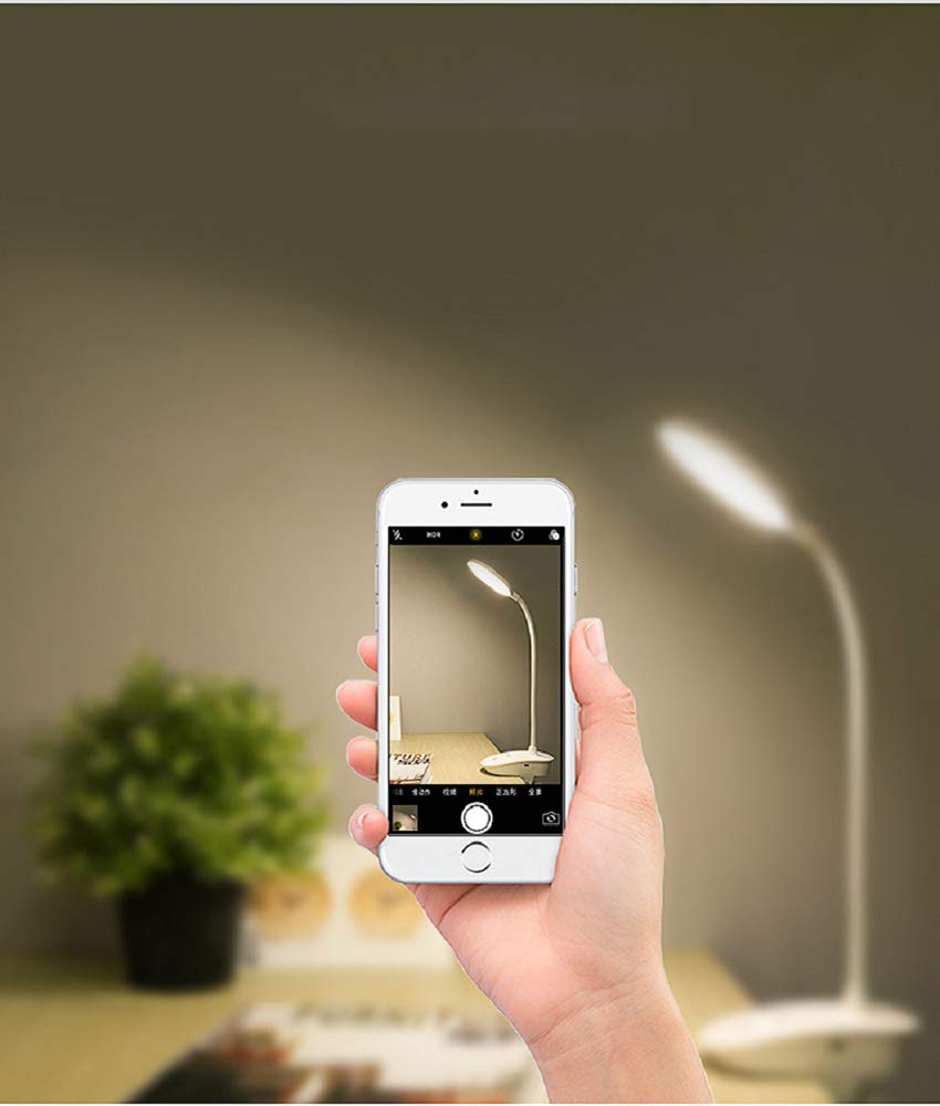 Clip on Lamp,Battery Powered Reading Light,Clamp for Bed