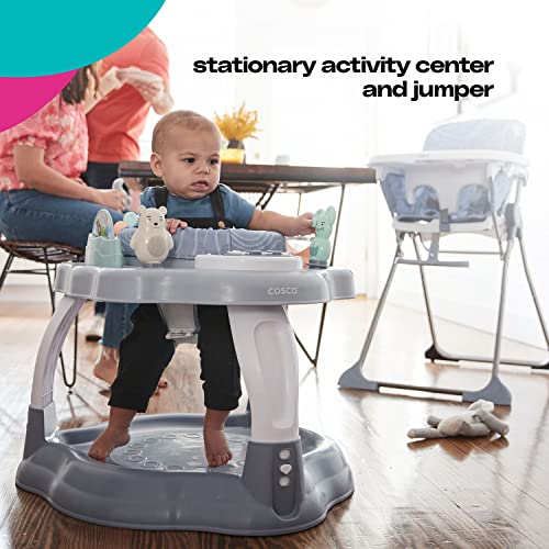 2-in-1 Baby Activity Center and Jumper