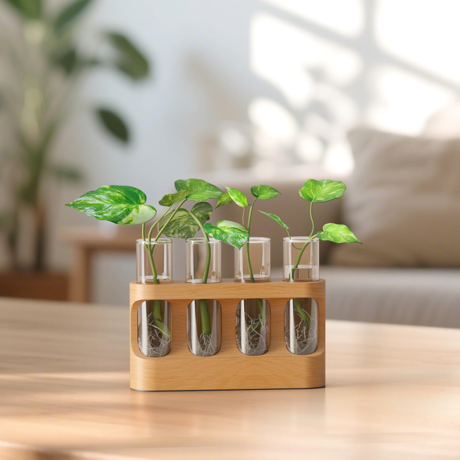 Propagation Station with 9-Speed Adjustable LED Lights, Plant Terrarium