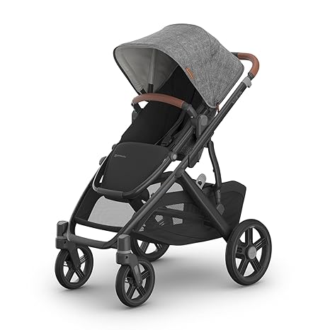Vista V3 Stroller - Full-Size Single-to-Double Stroller System - Toddler Seat, Bug Shield