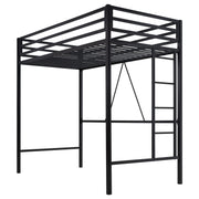 Loft Bed Twin Size with Ladder and Guardrail