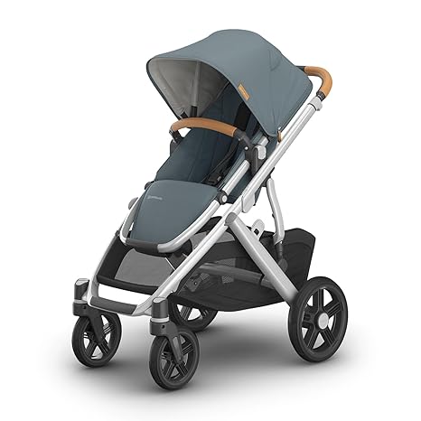 Vista V3 Stroller - Full-Size Single-to-Double Stroller System - Toddler Seat, Bug Shield