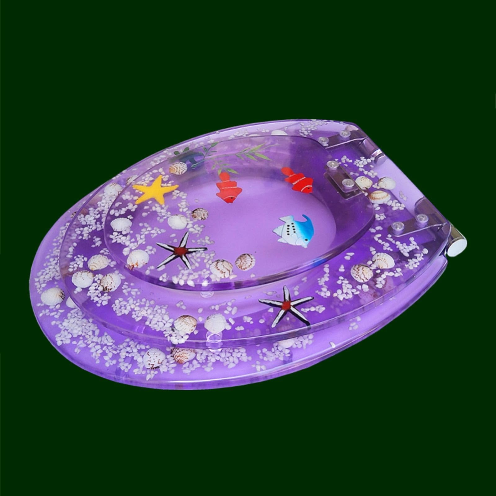 Toilet Seat with Quick-Release Soft Close, 2 In 1 Potty Training