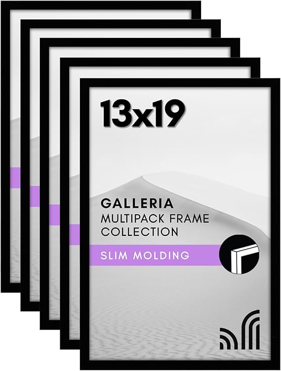 13x19 Picture Frame with Polished Plexiglass - Set of 5 - Galleria Collection