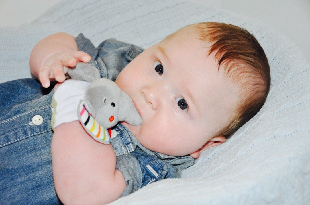 Pack of 4, Lamb, Elephant, Cow, and Octopus Combo Teether for Babies, 0-2.5yrs Baby Toys