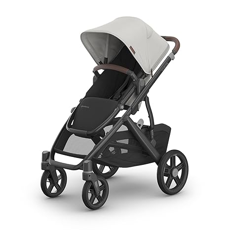 Vista V3 Stroller - Full-Size Single-to-Double Stroller System - Toddler Seat, Bug Shield