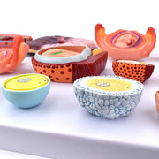 Anatomical, Anatomy Model Scientific Anatomical Human Model-Fertilization and Early