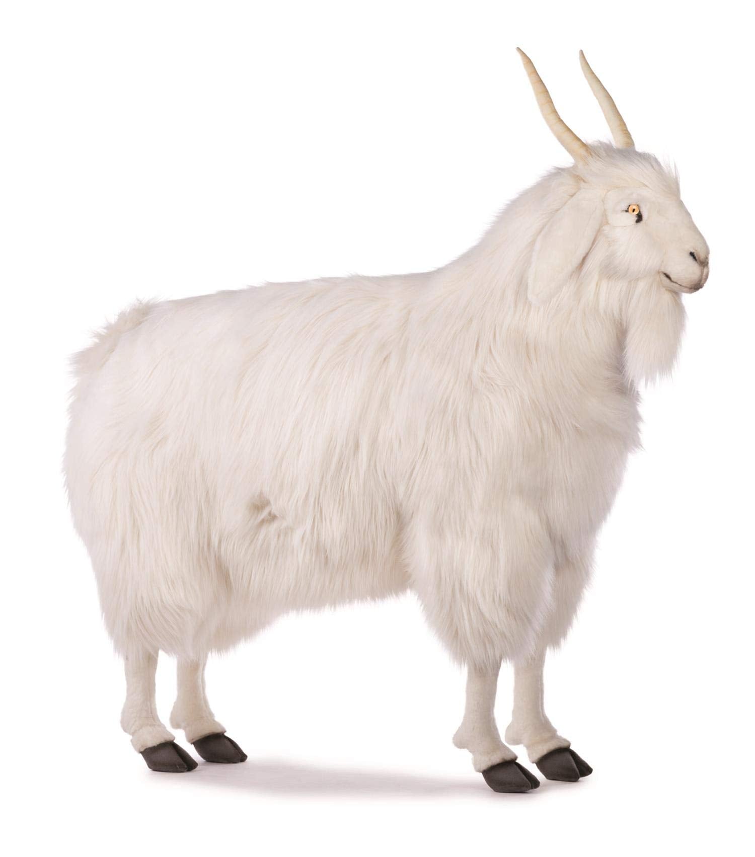 True-to-Life Cashmere Goat