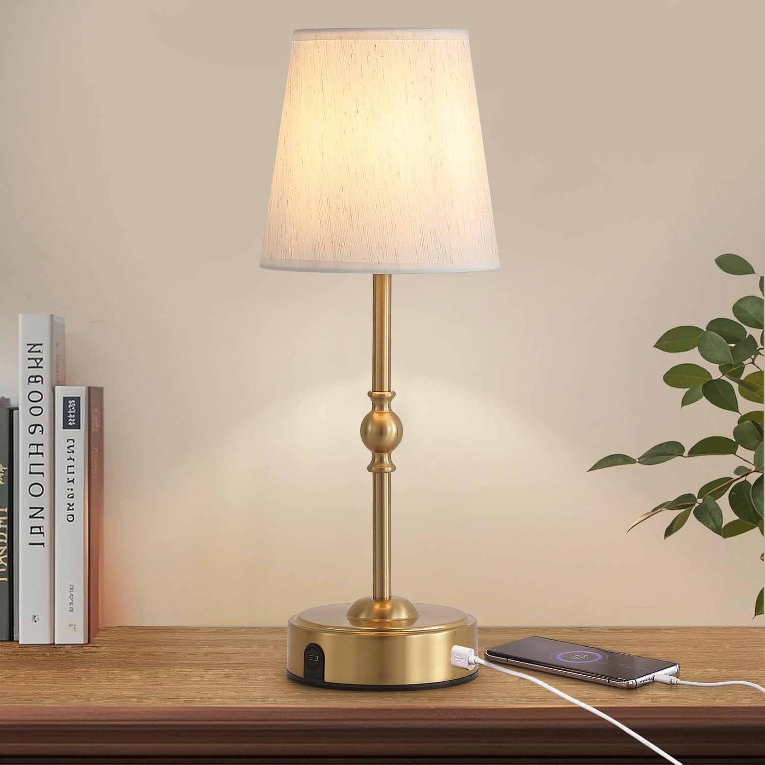 Cordless Rechargeable LED Table Lamp with Dimmer and USB Port