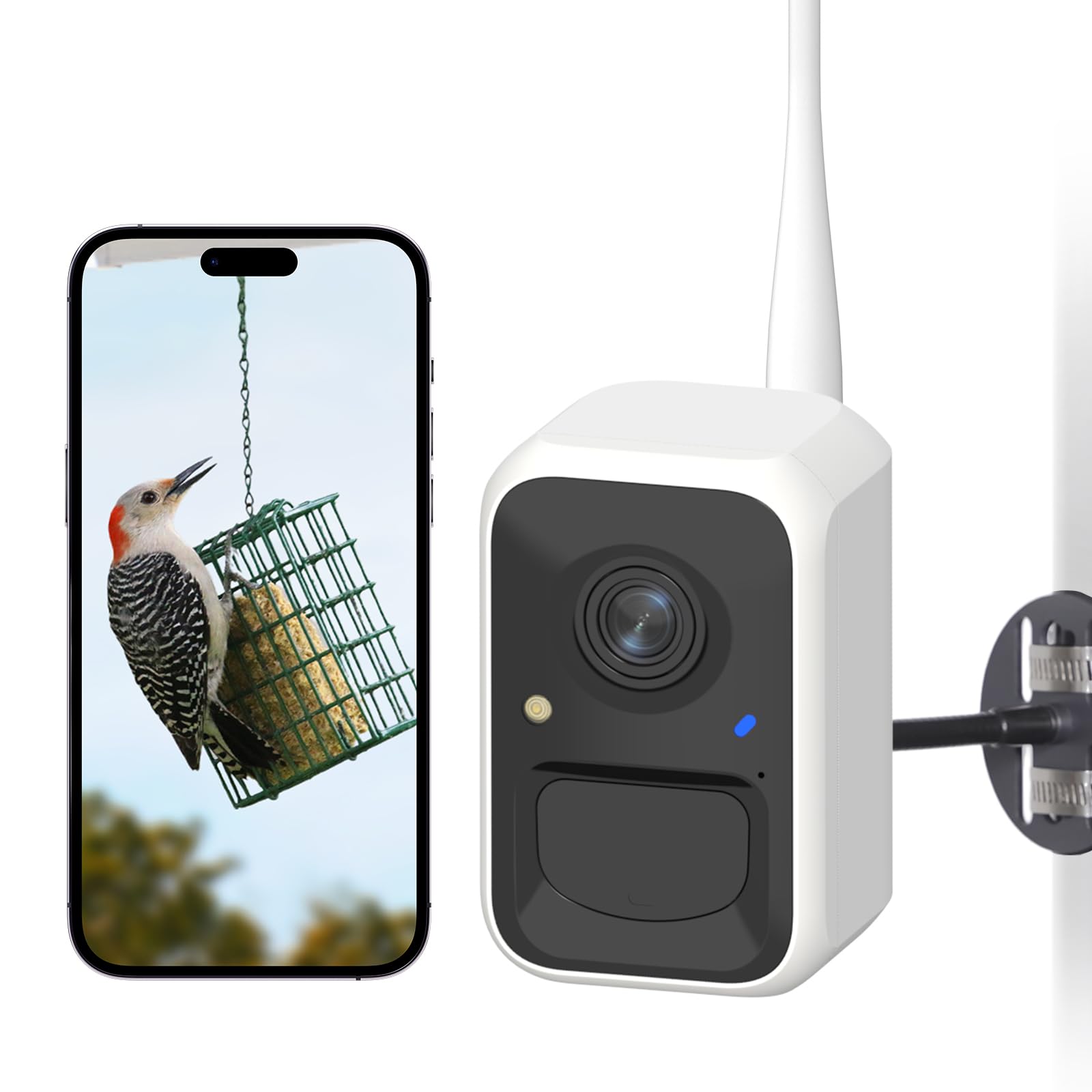 by Birdfy Smart Bird Feeder Camera, Adjustable Brackets, Auto Bird Video Capture