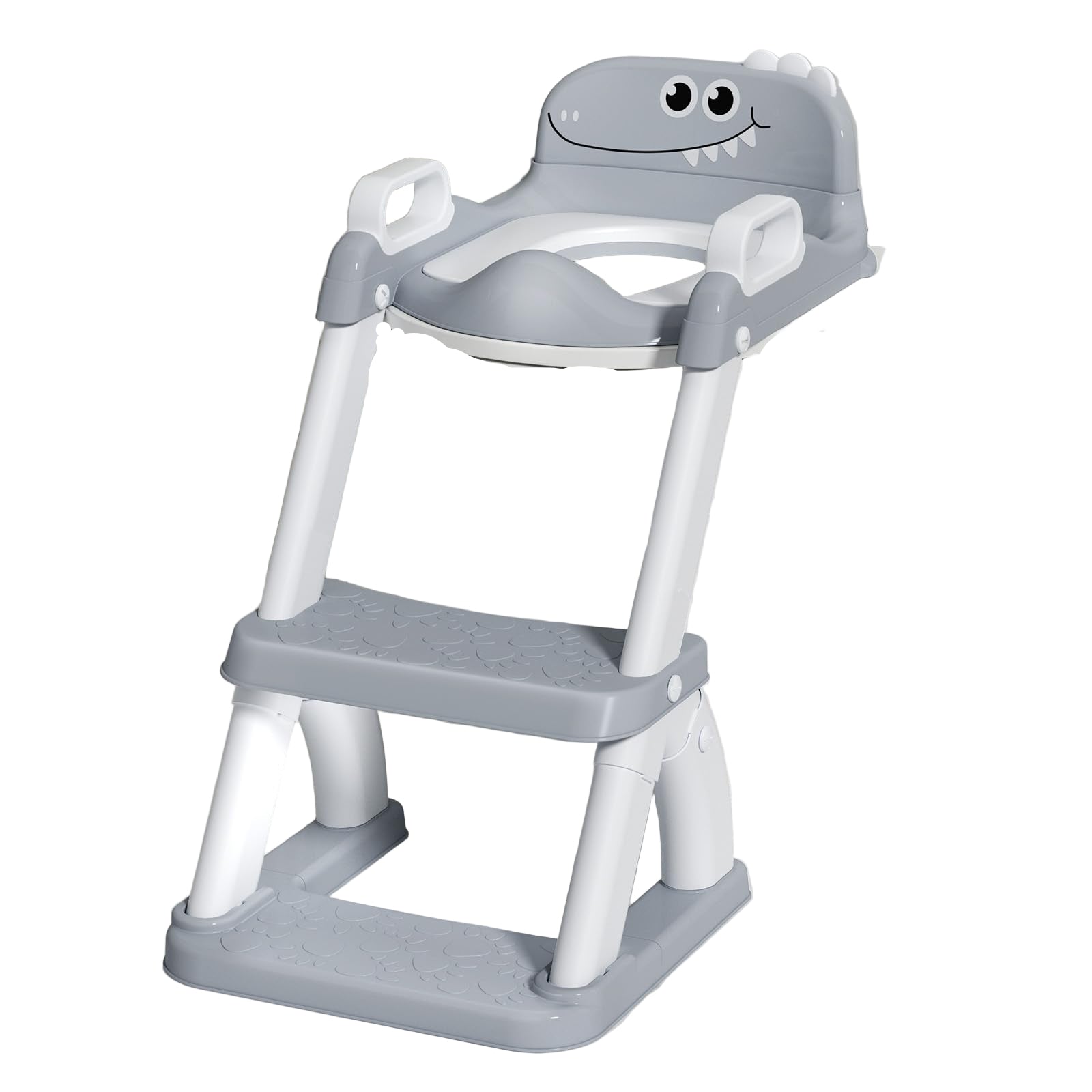 Training Seat for Toddlers, 2 in 1 Potty Training Toilet with Anti-Slip