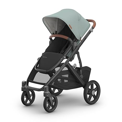 Vista V3 Stroller - Full-Size Single-to-Double Stroller System - Toddler Seat, Bug Shield