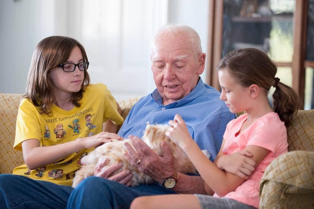 Companion Pet for Seniors - Lifelike Animatronic Cat - Realistic Soft-Touch Fur & Purring