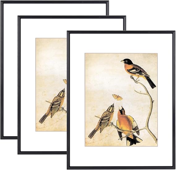 11x14 Picture Frame Set of 3, Brass Metal Photo Frames with HD Glass