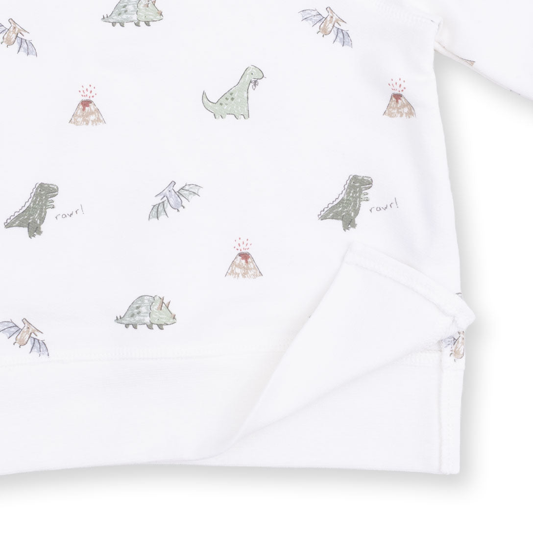 Dinos - Raglan Sweatshirt
