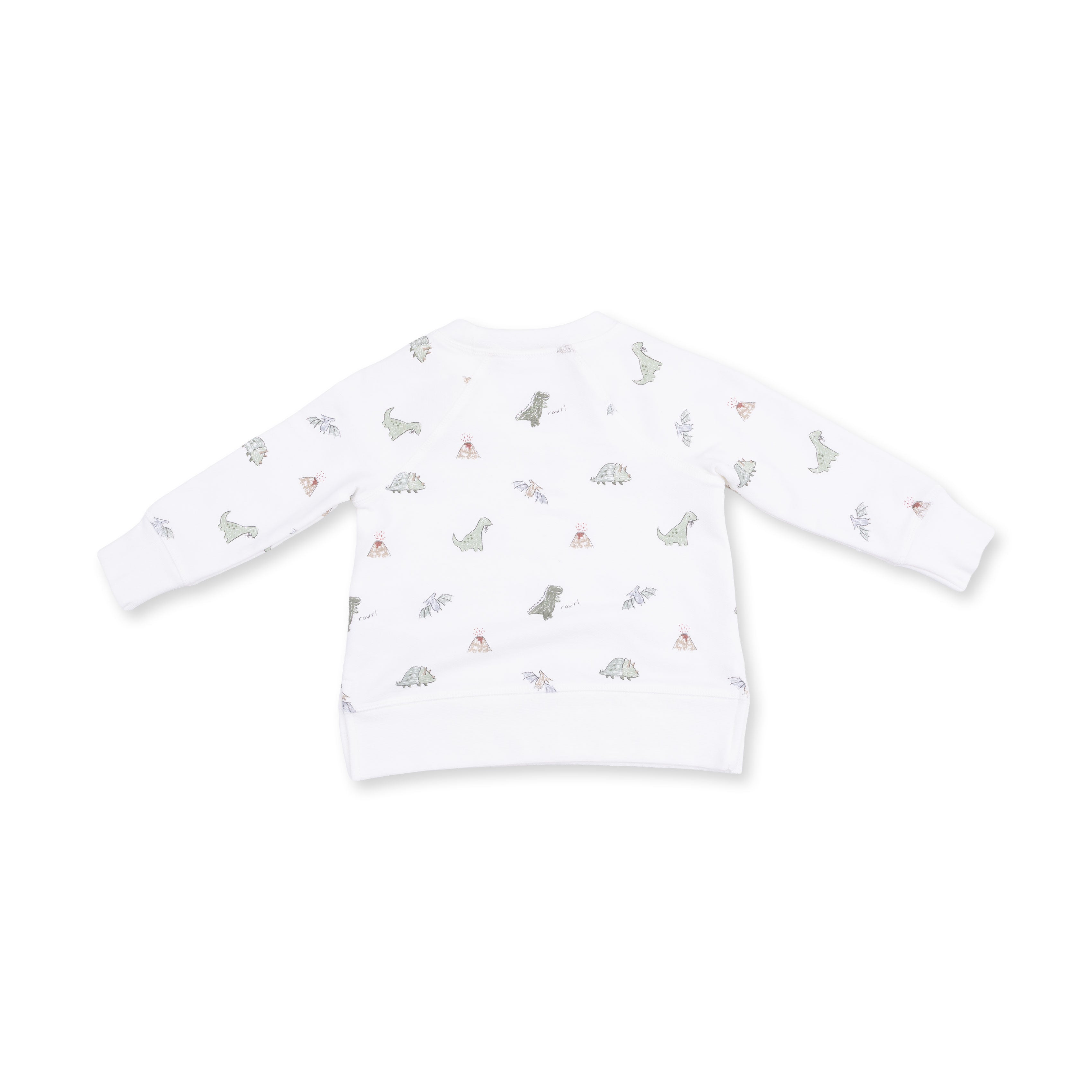 Dinos - Raglan Sweatshirt