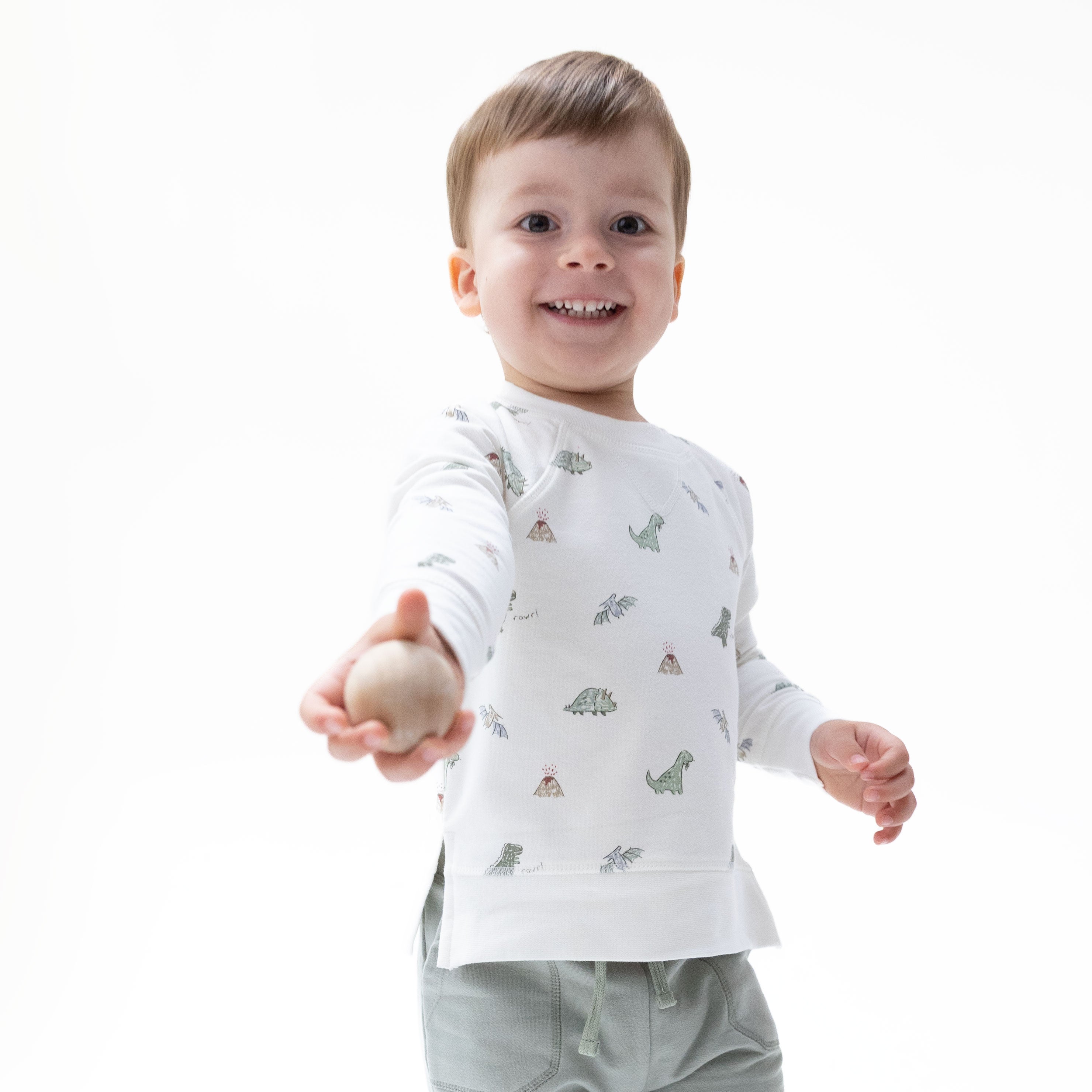 Dinos - Raglan Sweatshirt