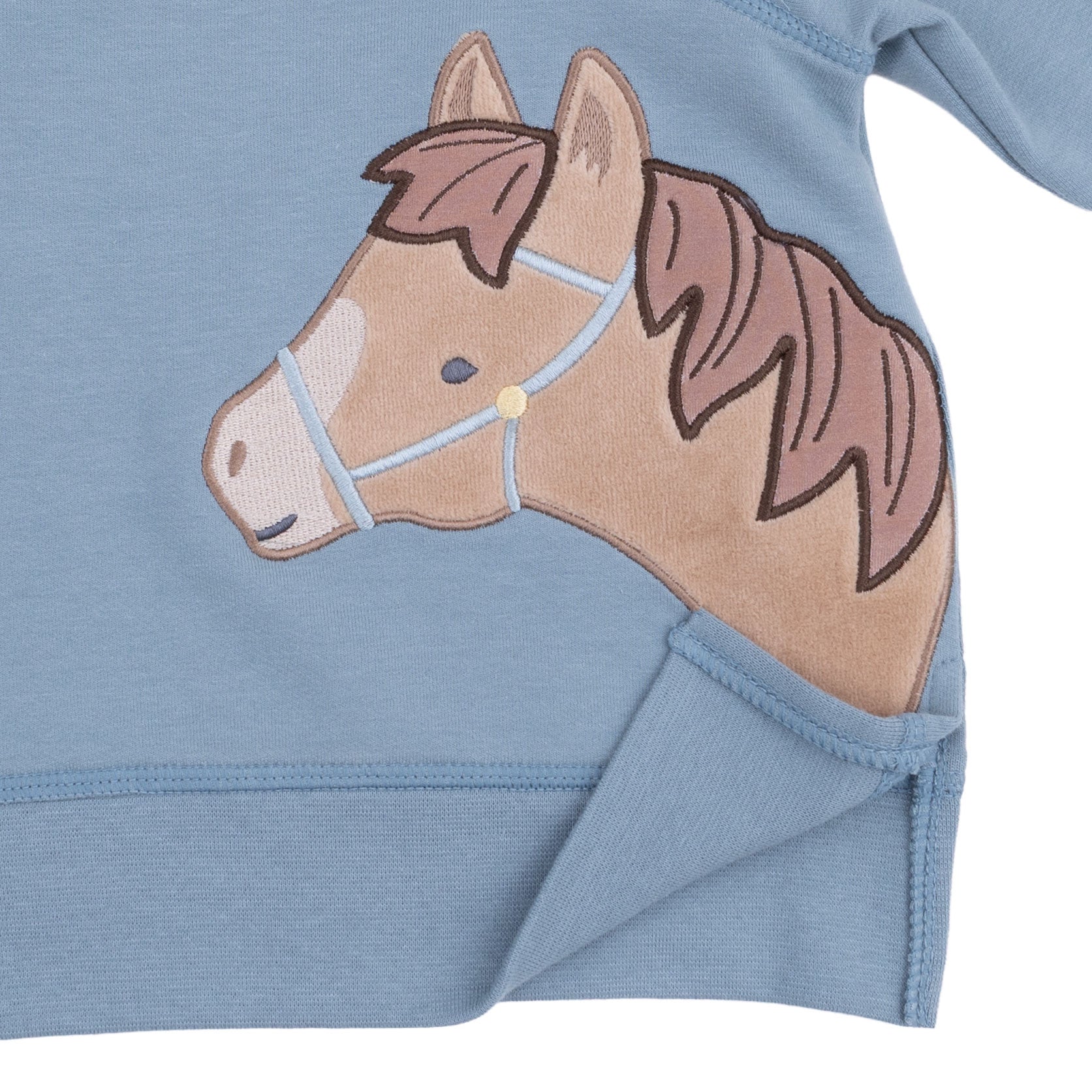 Horse Head - Raglan Sweatshirt