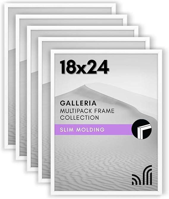 13x19 Picture Frame with Polished Plexiglass - Set of 5 - Galleria Collection