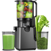 400W Cold Press Juicer for Whole Vegetables and Fruits, Slow Masticating juicer