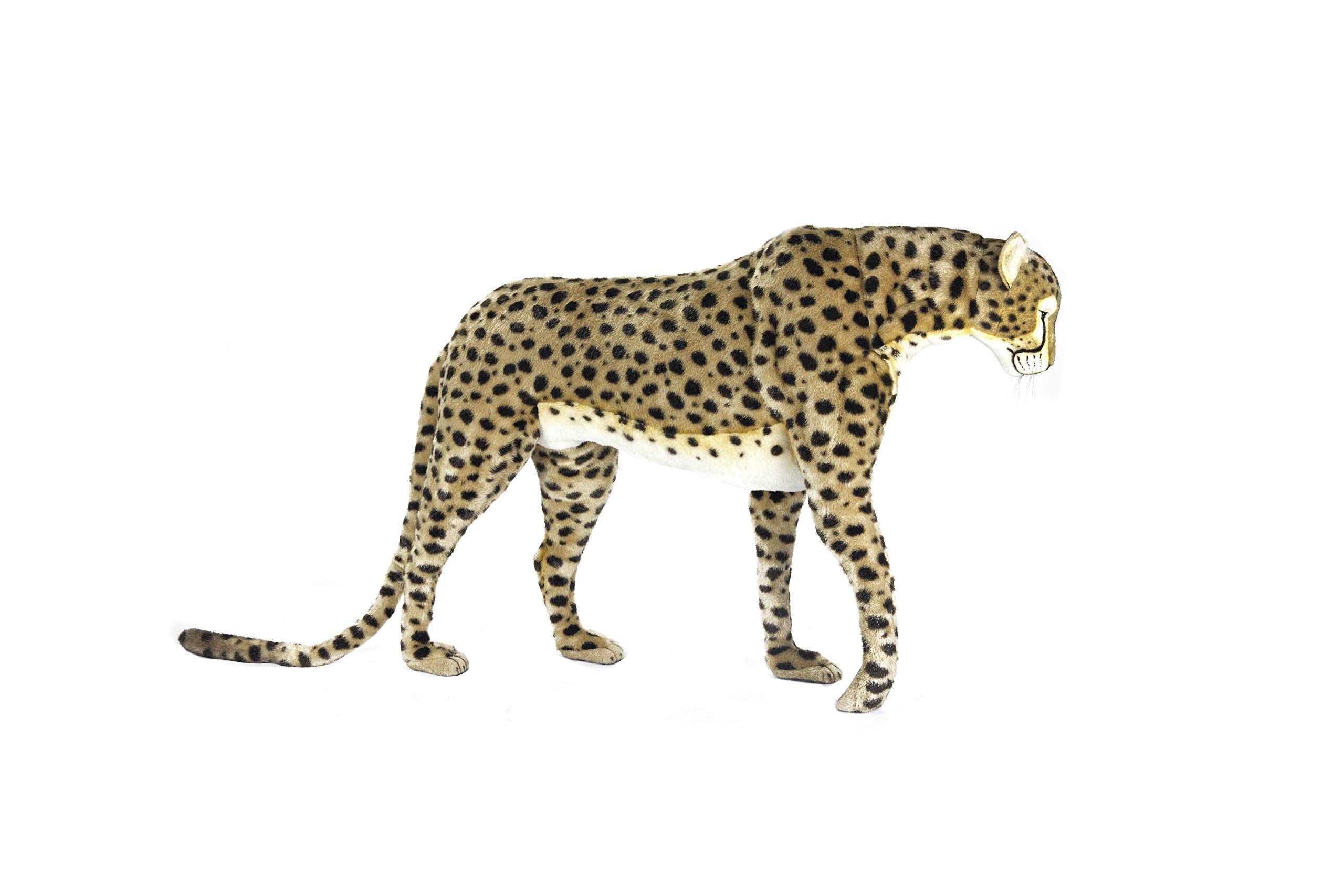 6544 Cheetah Life Size Stand Jacq 50 in.L