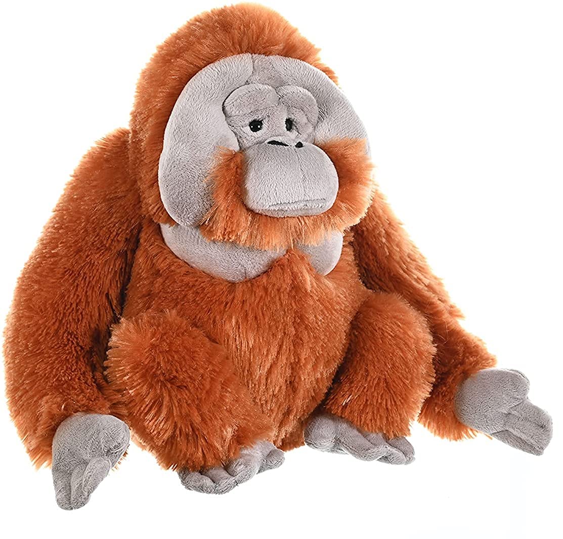 Orangutan Plush, Stuffed Animal, Plush Toy, Gifts for Kids, Cuddlekins 12 Inches
