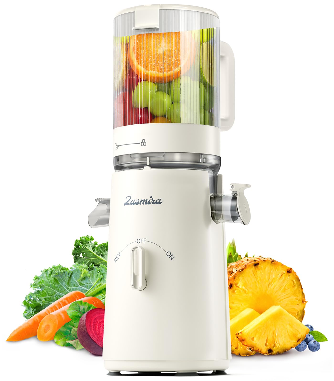 Juicer Machines with Large Feeding Chute, Powerful Slow Juicer with Pulp Seperation