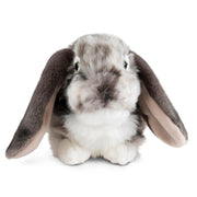 Grey Dutch Lop Eared Rabbit Stuffed Animal | Fluffy Rabbit Animal | Soft Toy Gift for Kids