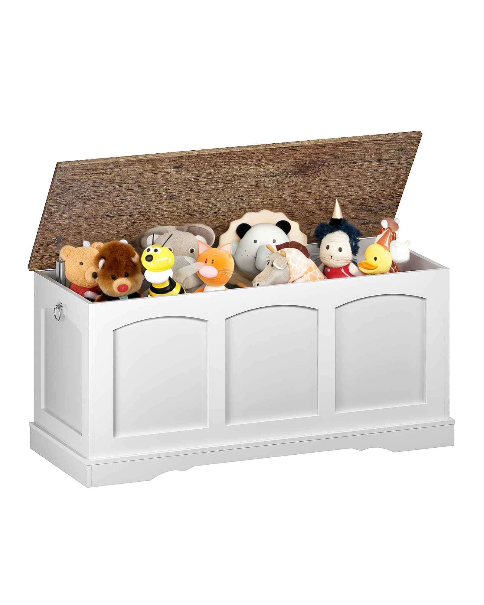 Storage Chest Bench with Lift Lid