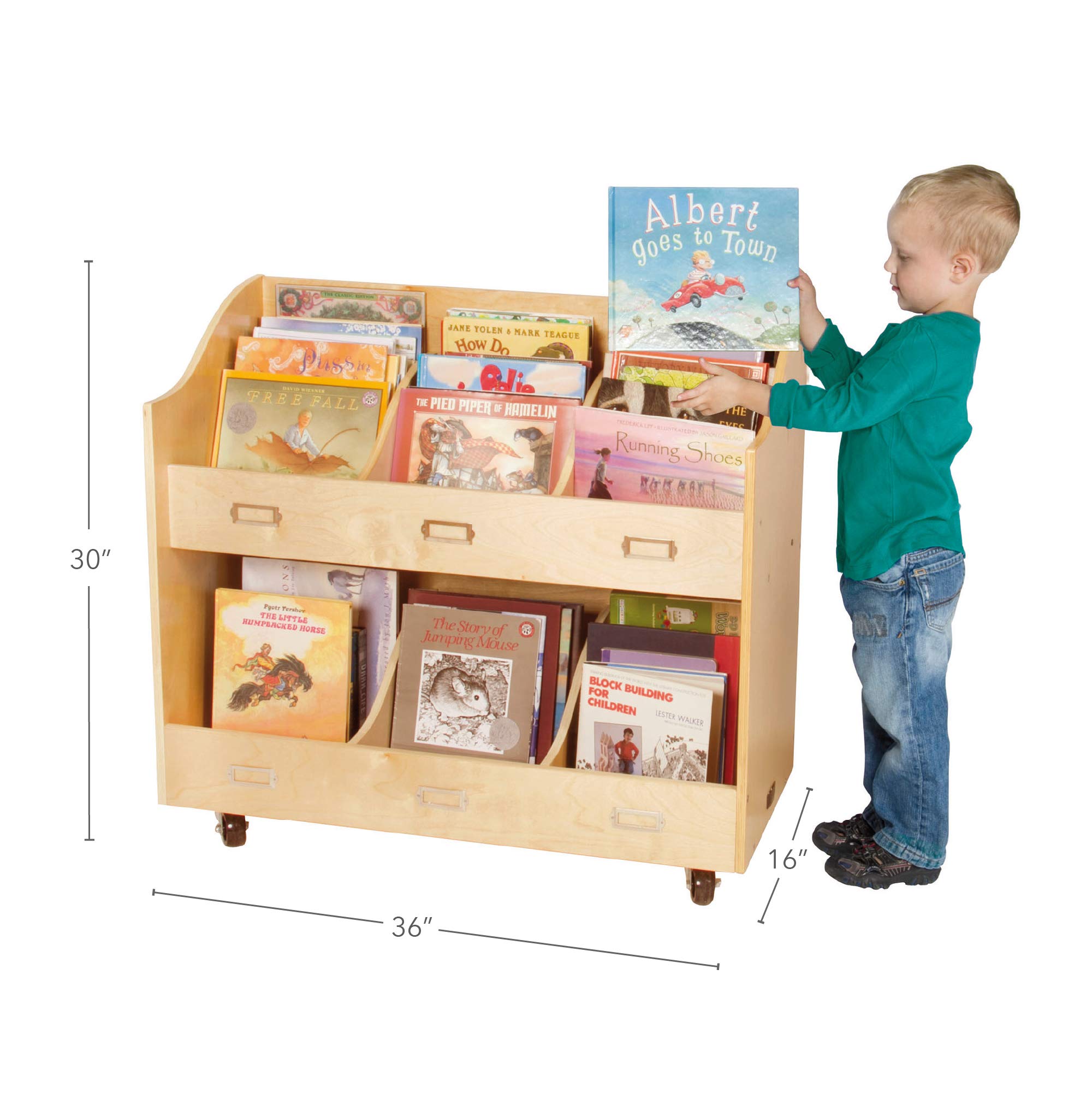 Mobile Book Organizer with Casters and Labels