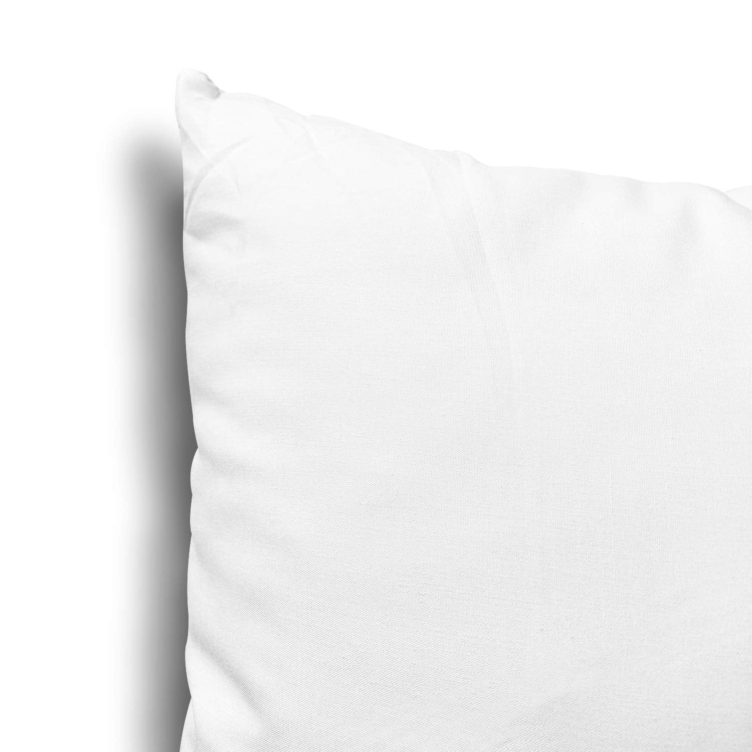 Throw Pillow Inserts, Set of 2 Lightweight Down Alternative Polyester