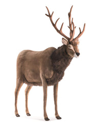 Plush - 60" Extra Large Reindeer