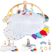 Baby Play Gym & Activity Mat | Stage-Based Developmental