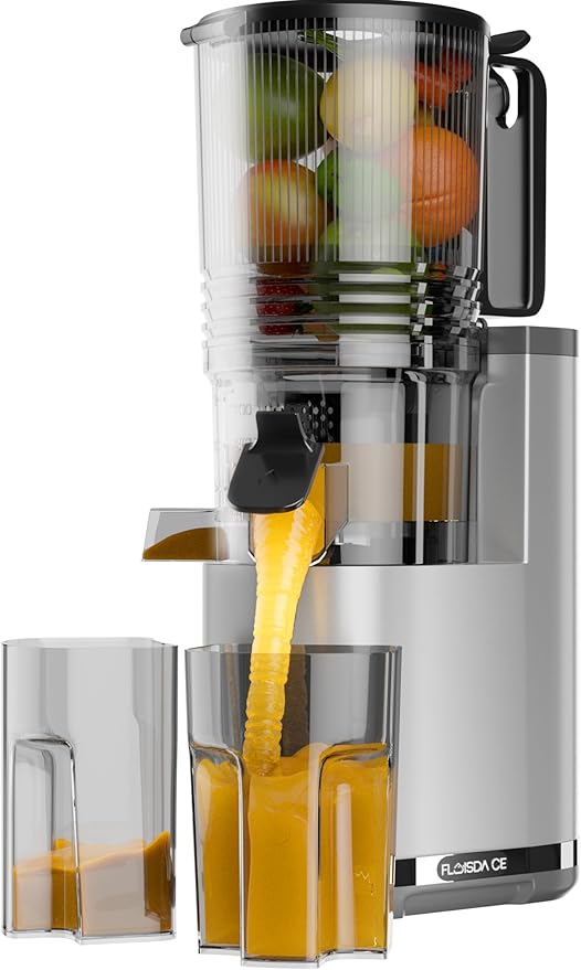 6.5" Extra Large Feed Chute Juicer Machines, 350W Slow Masticating Juicer Machines